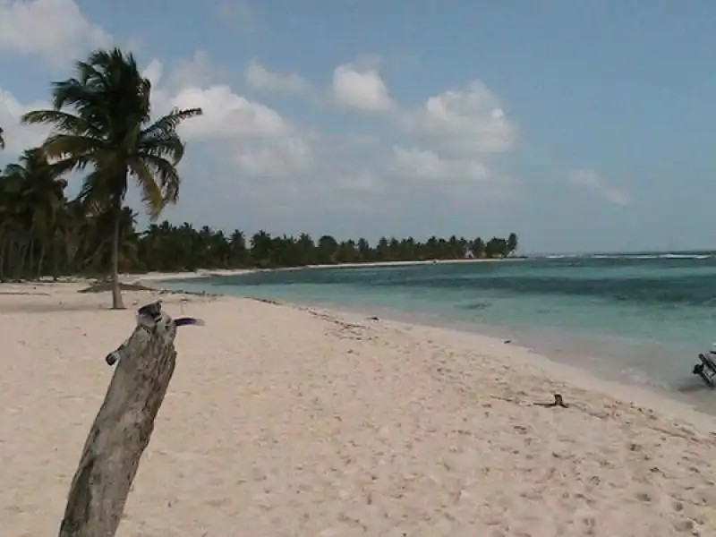 nuzzi twitta la spiaggia di santo domingo dove dell utri ha la casa 