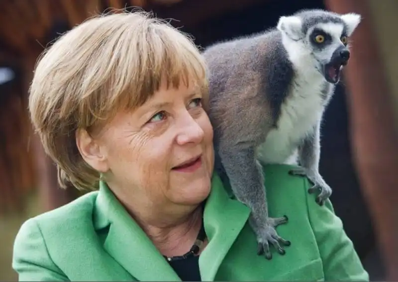 ANGELA MERKEL E IL LEMURE  