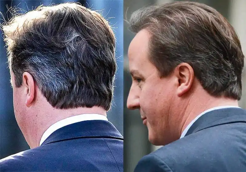 david cameron si tinge i capelli