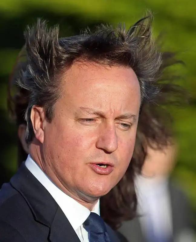 i capelli di david cameron