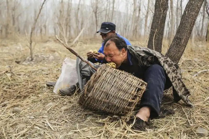 jia haixa e jia wenqi 9