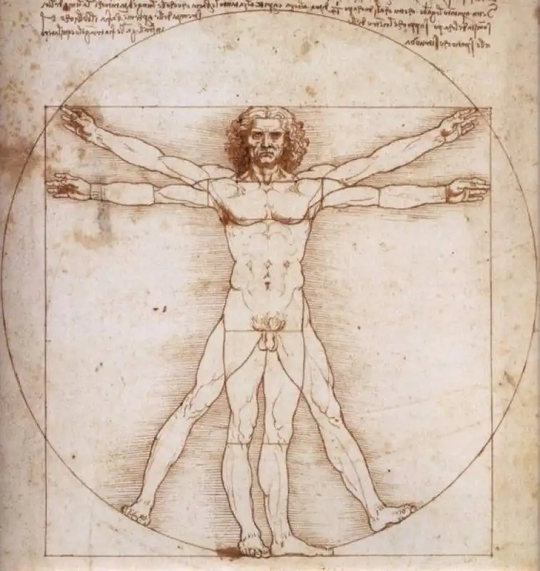 leonardo da vinci le proporzioni del corpo secondo vitruvio (l'uomo vitruviano). 02 568x600