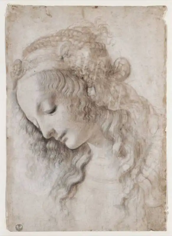   leonardo da vinci, testa femminile  09 437x600