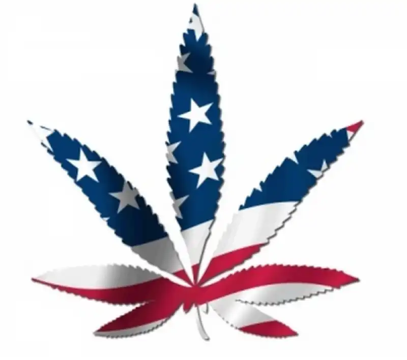 usaweed