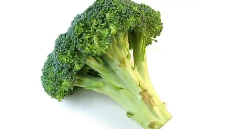 BROCCOLI