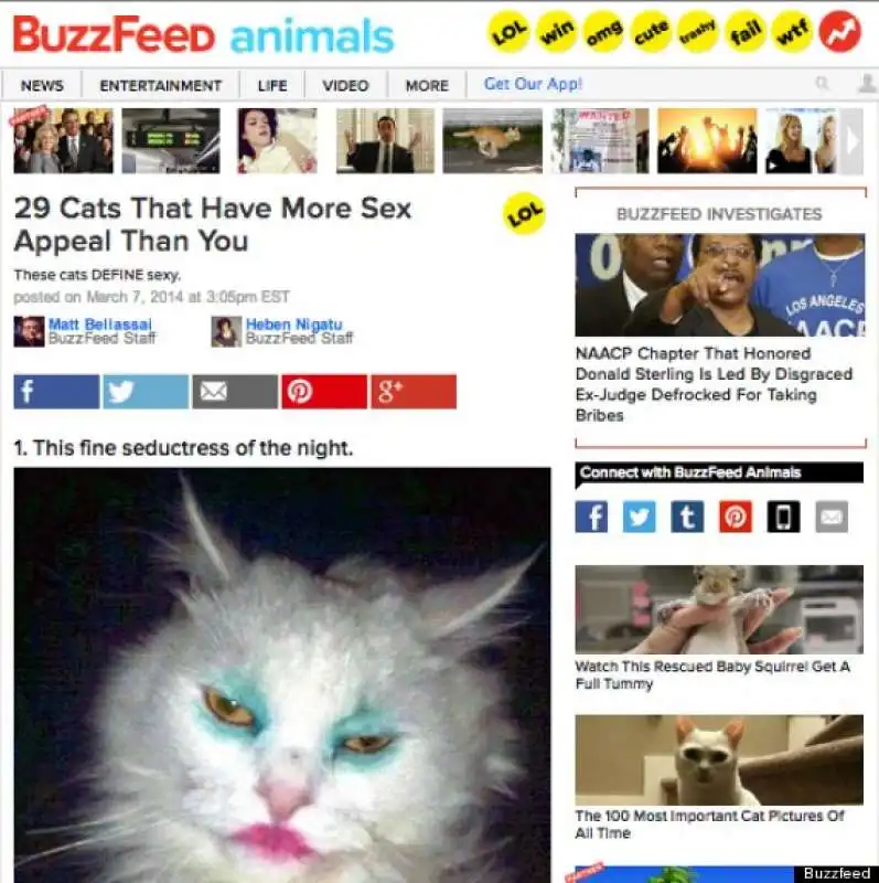 buzzfeed gatti