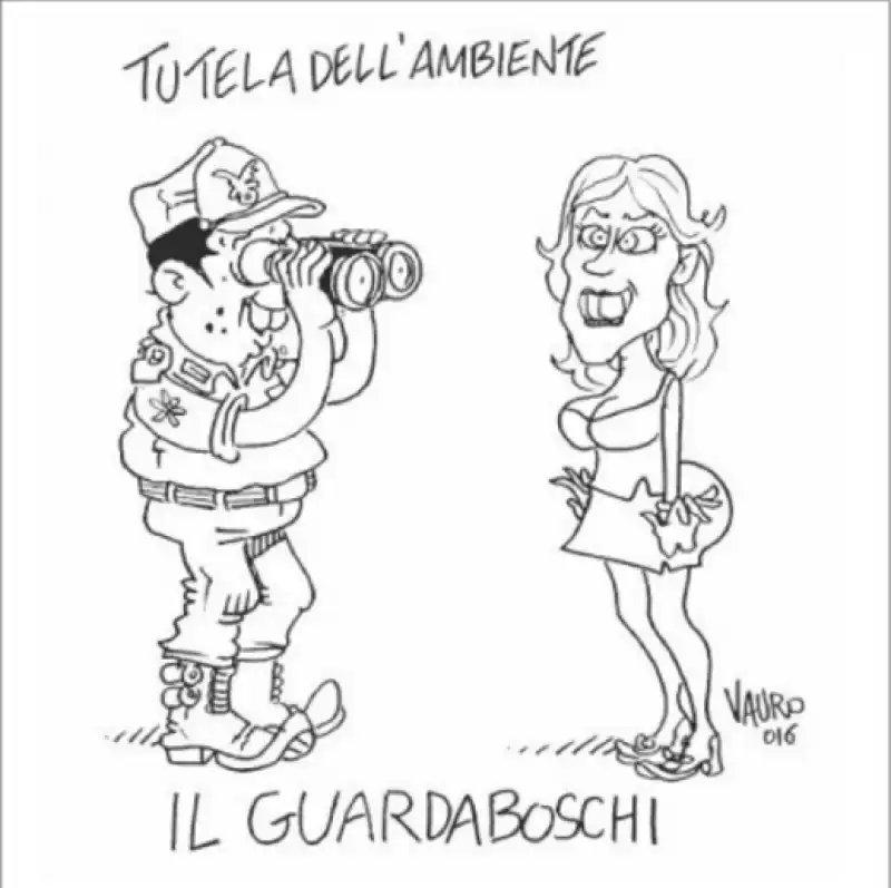 IL GUARDABOSCHI VAURO