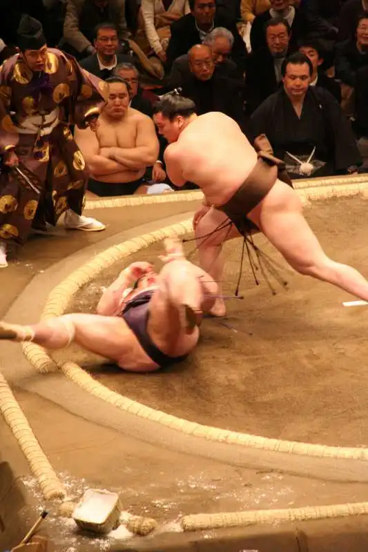 lottatori di sumo    