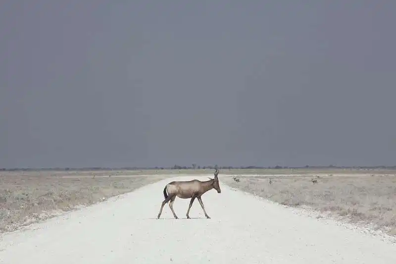 maroesjka lavigne in namibia