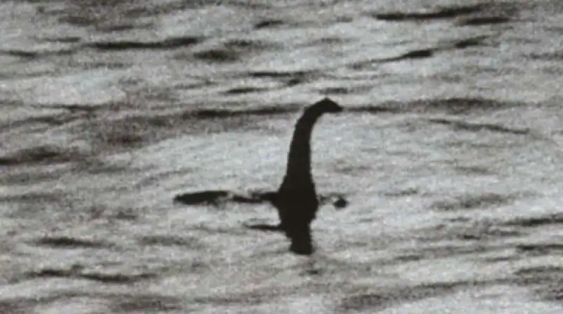 mostro loch ness 2