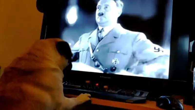 NAZIDOG 