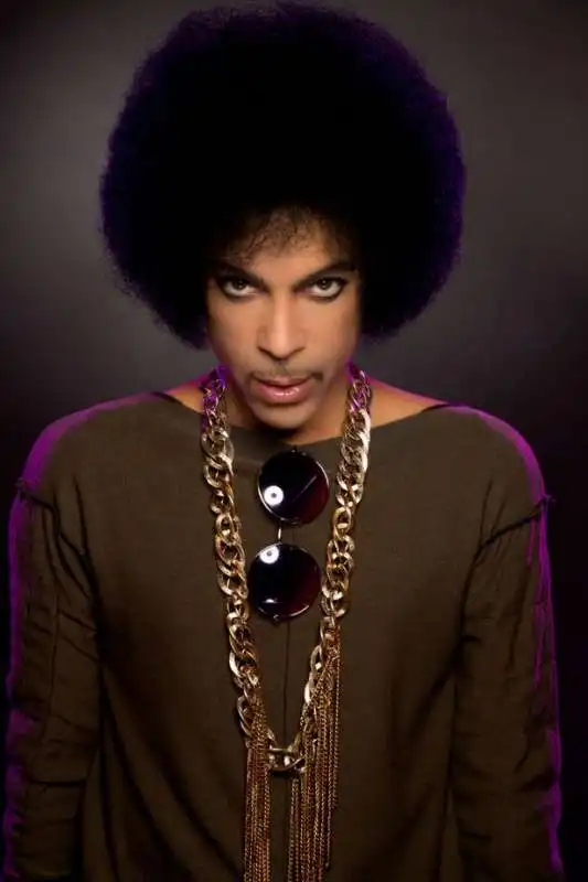 prince pettinatura afro