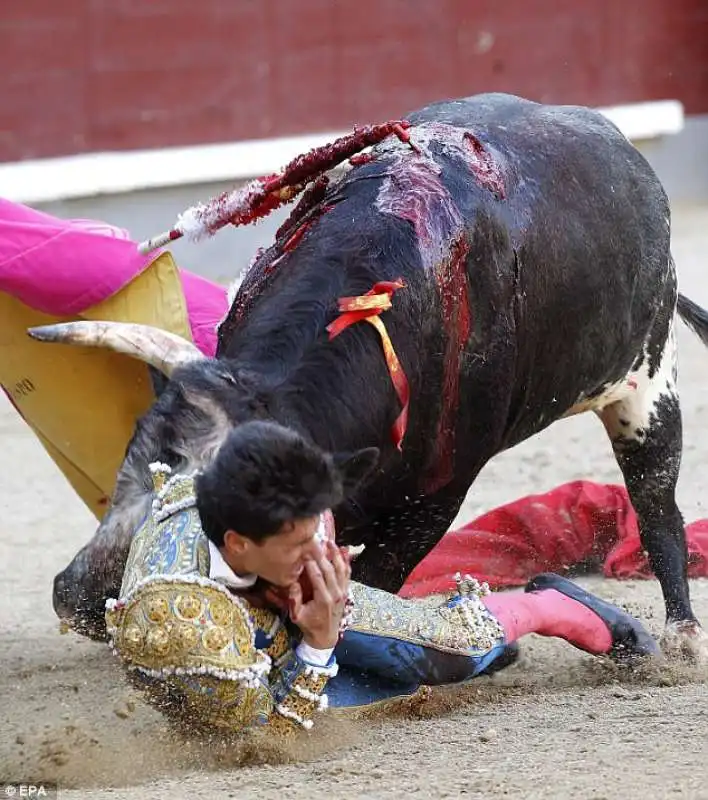 navarrete infilzato a madrid