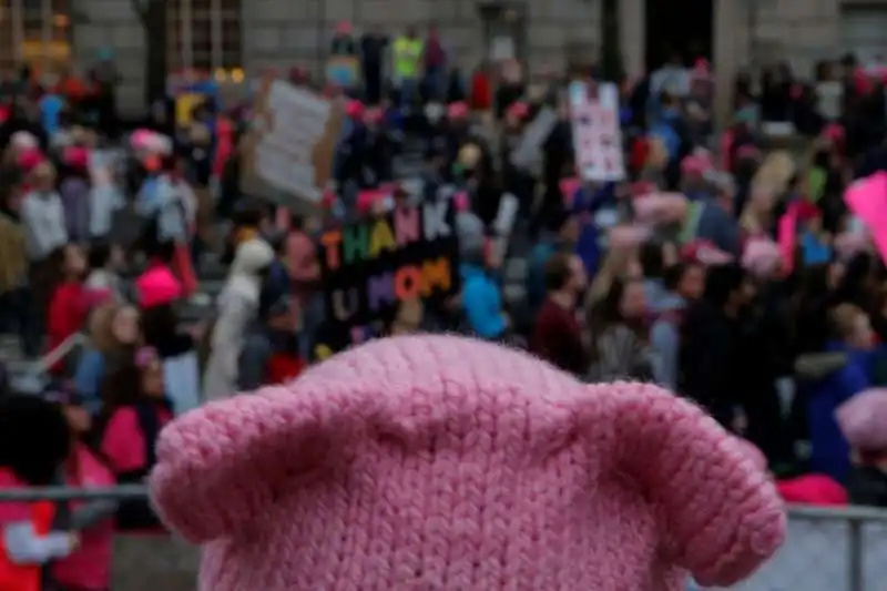 pussy hat