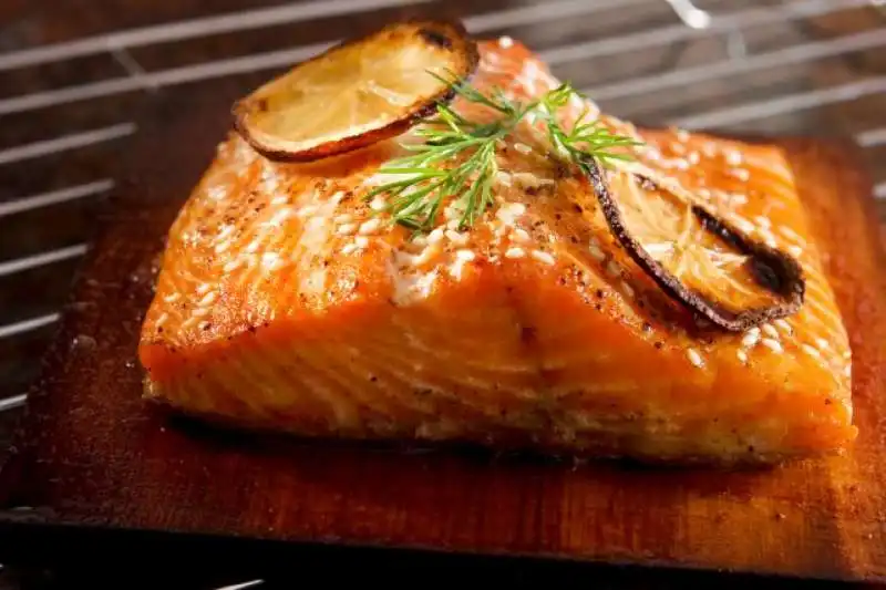 salmone