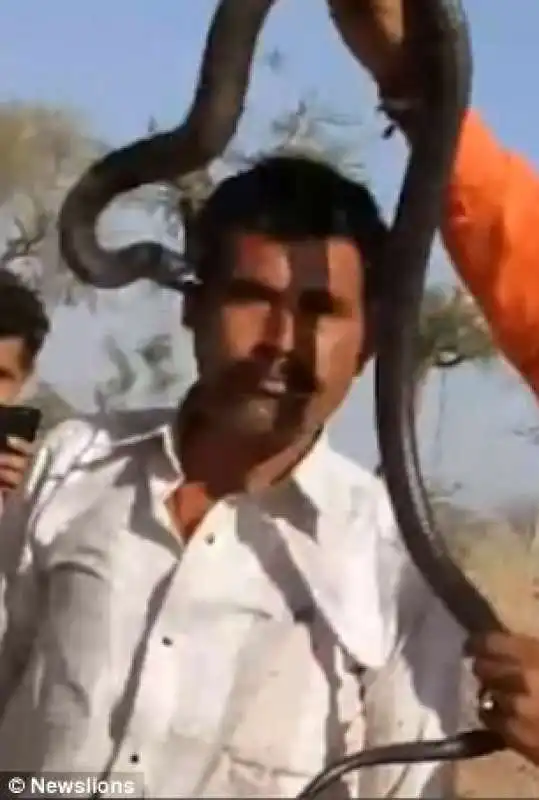 UN TURISTA INDIANO VIENE MORSO DA UN SERPENTE E MUORE