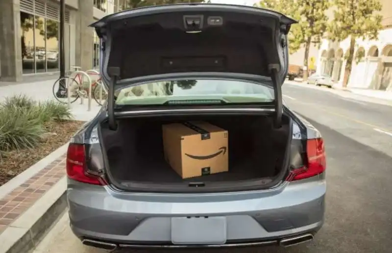 amazon in  car  delivery   