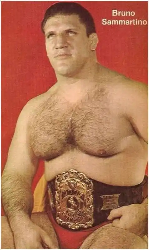 bruno sammartino 8