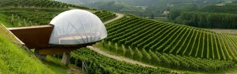 cantine ceretto langhe