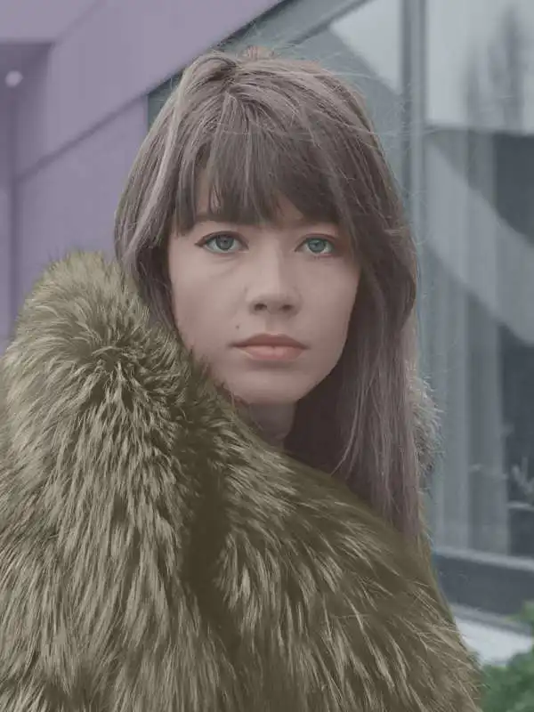 francoise hardy