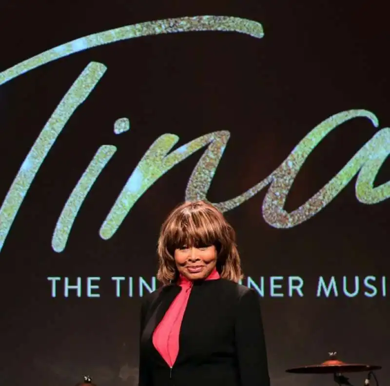 tina turner 5