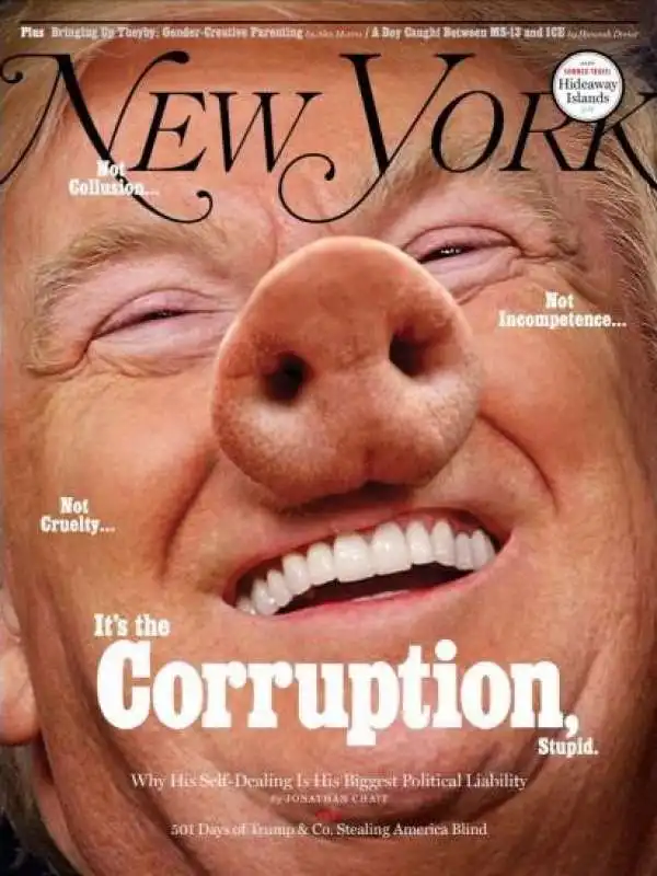 TRUMP VERSIONE MAIALE SUL NEW YORK MAGAZINE