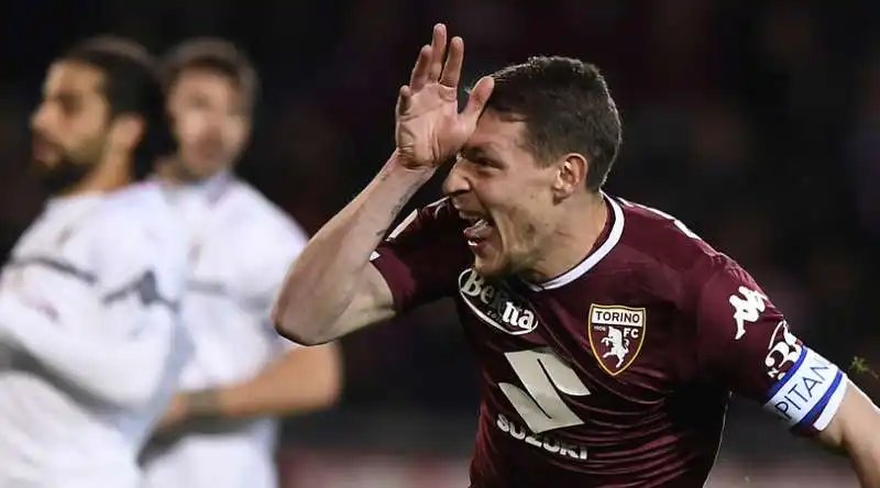 belotti 1