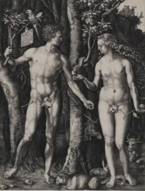 durer THE RENAISSANCE NUDE