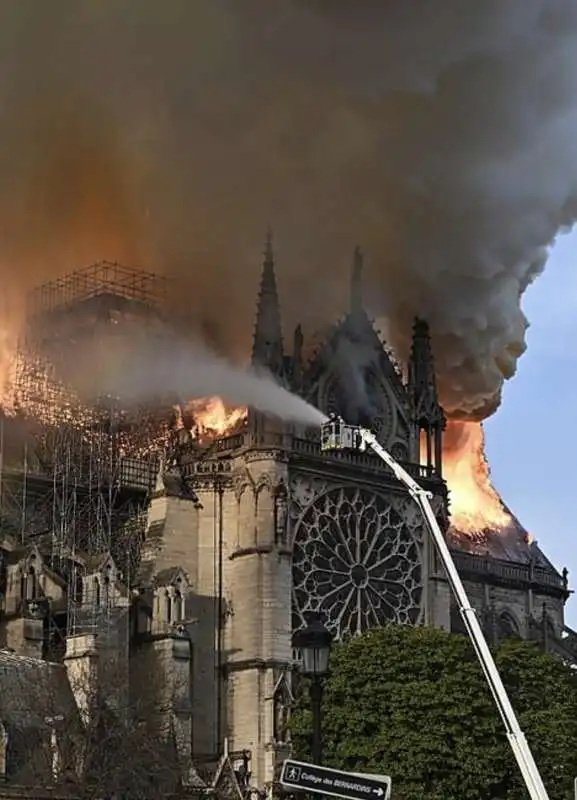 incendio notre dame parigi 13