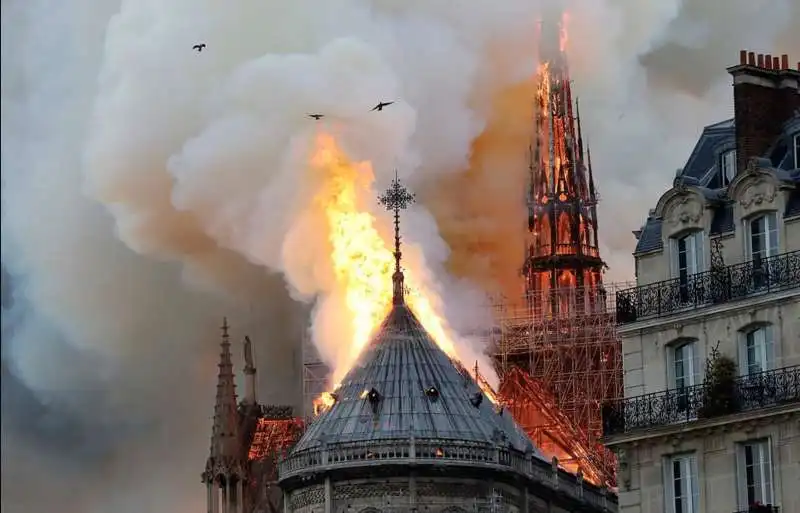 incendio notre dame parigi 14