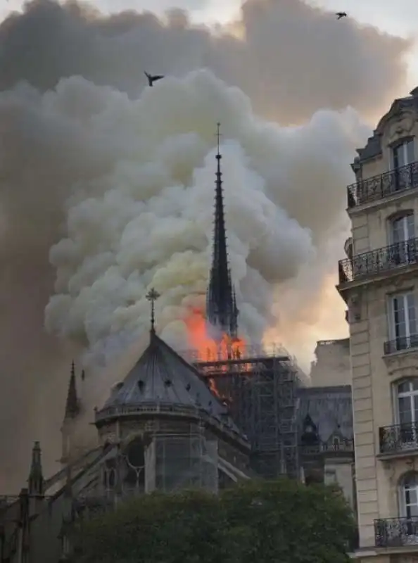 incendio notre dame parigi 9