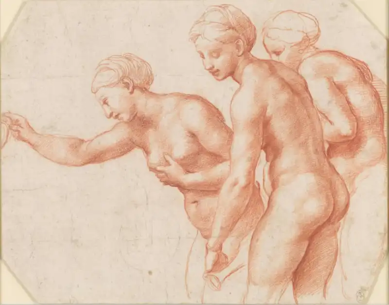 LE TRE GRAZIE DI RAFFAELLO THE RENAISSANCE NUDE