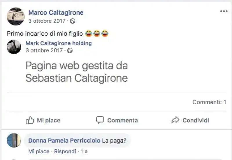 marco caltagirone affida al figlio in affido sebastian la pagina della holding 