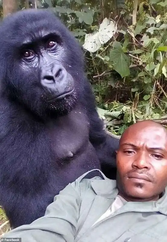 Mathieu Shamavu, guardia del Virunga National Park, uno degli ultimi habitat dei gorilla nella Repubblica Democratica del Congo