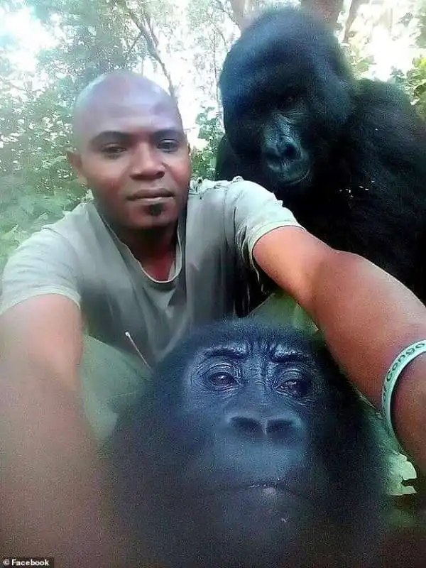 Mathieu Shamavu, guardia del Virunga National Park, uno degli ultimi habitat dei gorilla nella Repubblica Democratica del Congo