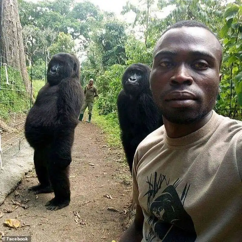 Mathieu Shamavu, guardia del Virunga National Park, uno degli ultimi habitat dei gorilla nella Repubblica Democratica del Congo