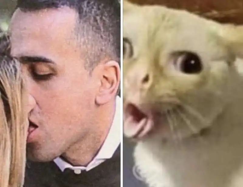 MEME SU LUIGI DI MAIO CHE LIMONA VIRGINIA SABA