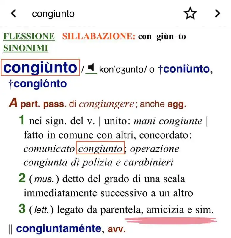 congiunto per lo zingarelli