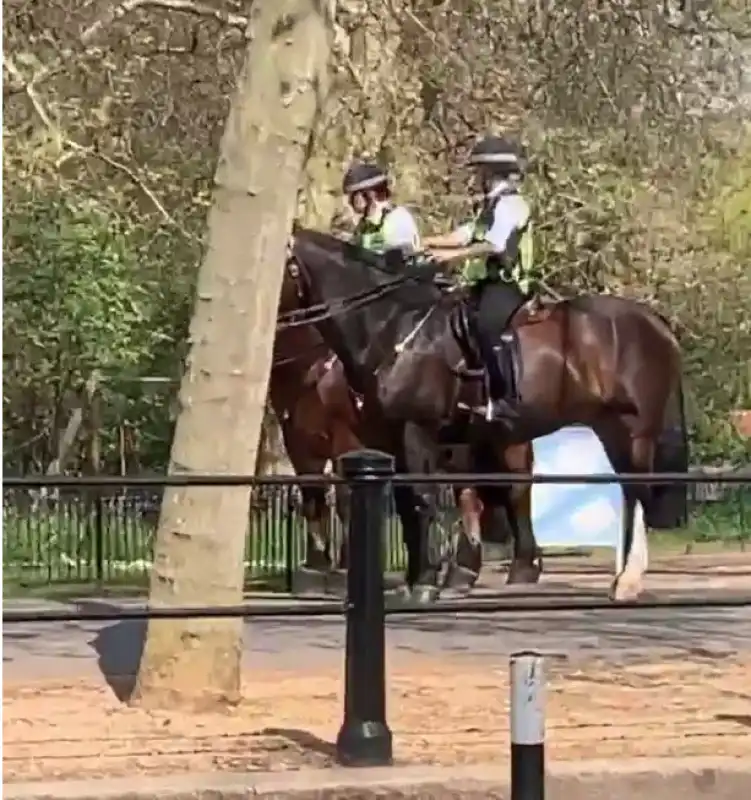 coppia fa sesso a st. james's park nonostante il lockdown 2