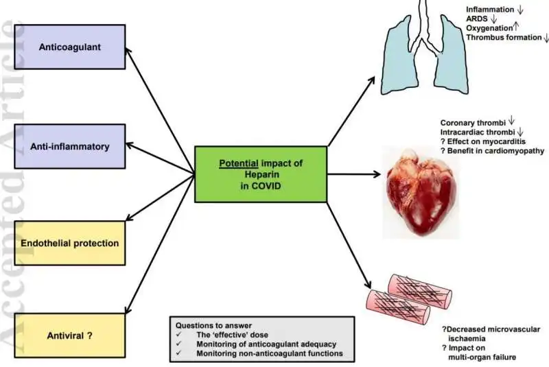 eparina e coronavirus