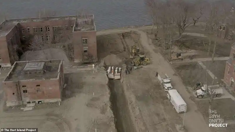 fosse  comuni  a hart island scavate dai galeotti di rikers island