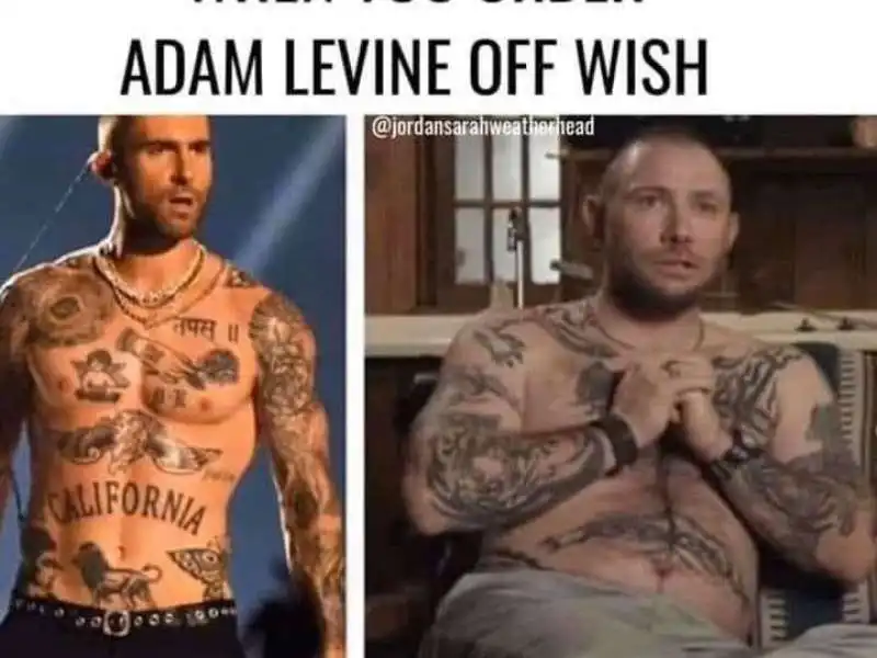 john finlay mejo di adam levine