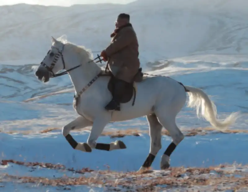 kim jong un a cavallo sul monte paektu 4