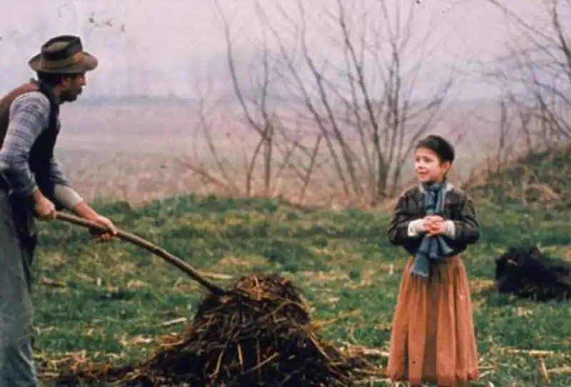 l’albero degli zoccoli 2