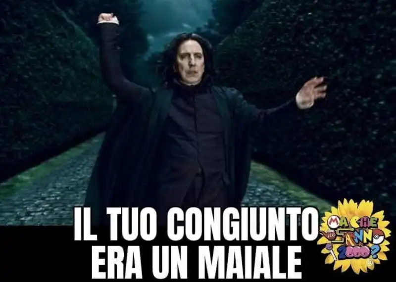 meme sui congiunti