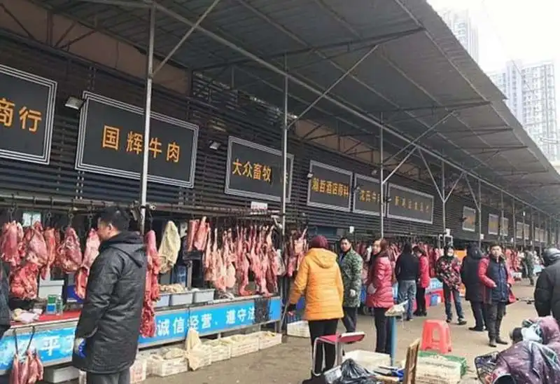 mercato wuhan 1