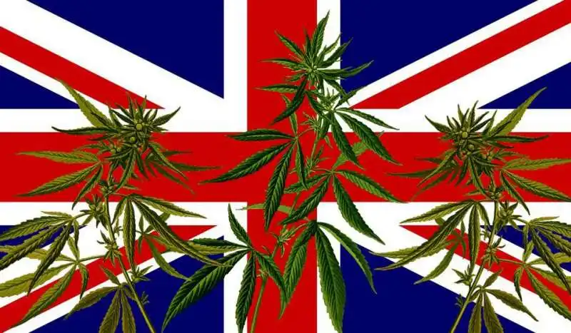 CANNABIS UK