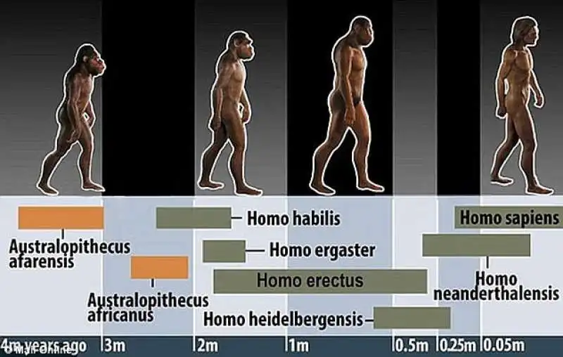 EVOLUZIONE DELLA SPECIE UMANA