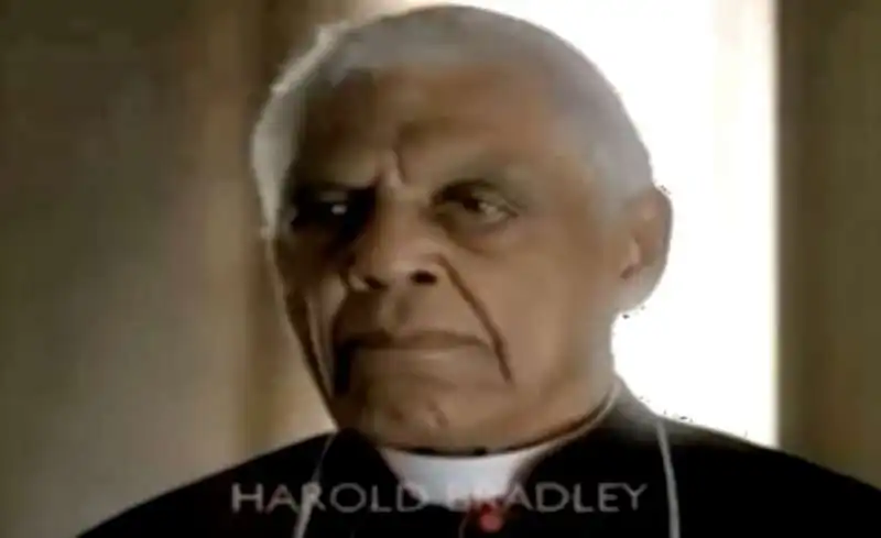 harold bradley  in habemus papam 1