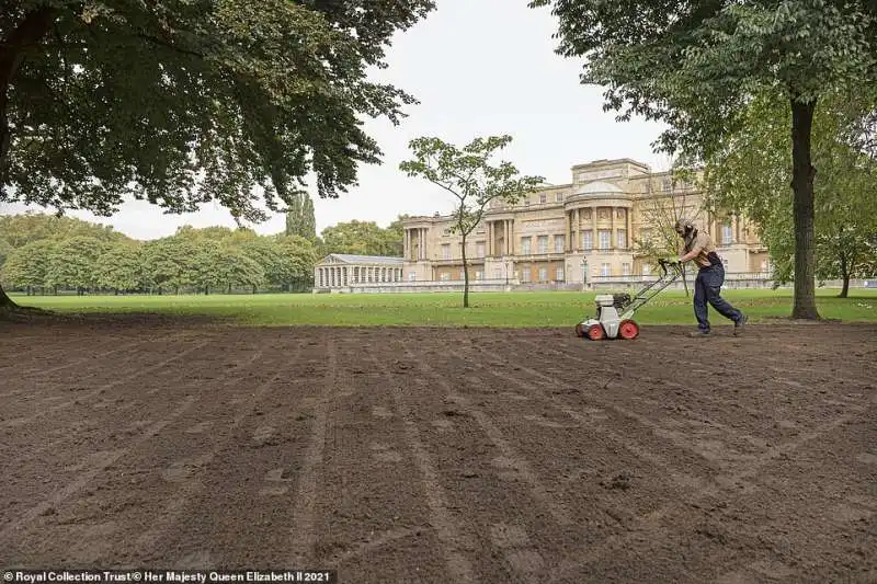 i giardini di buckingham palace 7